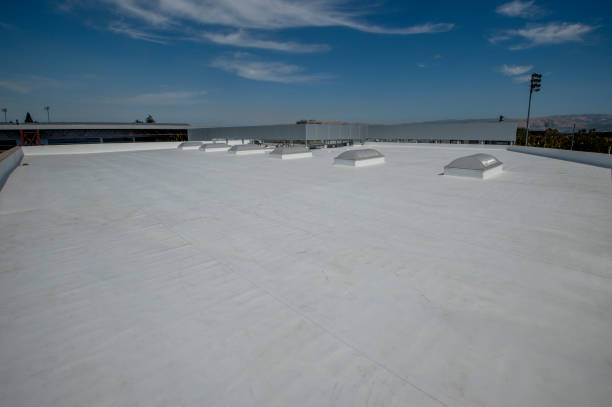 Best Chimney Flashing Repair  in Laingsburg, MI