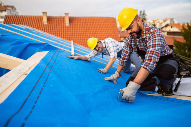 Best Green or Eco-Friendly Roofing Solutions  in Laingsburg, MI