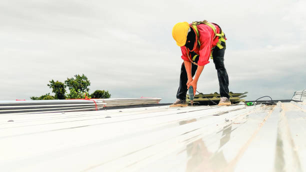 Best Emergency Roof Repair Services  in Laingsburg, MI
