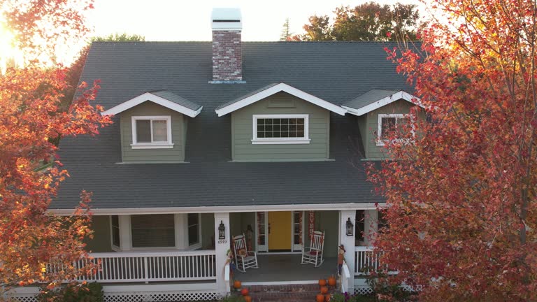 Best Skylight Installation and Repair  in Laingsburg, MI