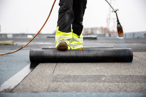 Best Roof Installation  in Laingsburg, MI