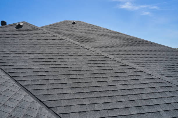 Best Sheet Metal Roofing  in Laingsburg, MI