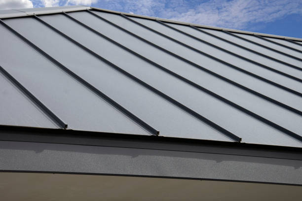 Best Gutter Installation and Repair  in Laingsburg, MI